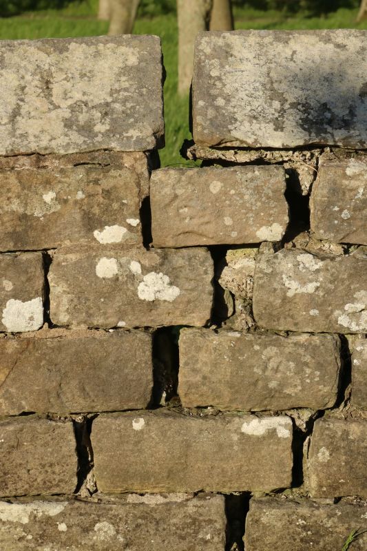 Stone Wall Repair in Florham Park, NJ